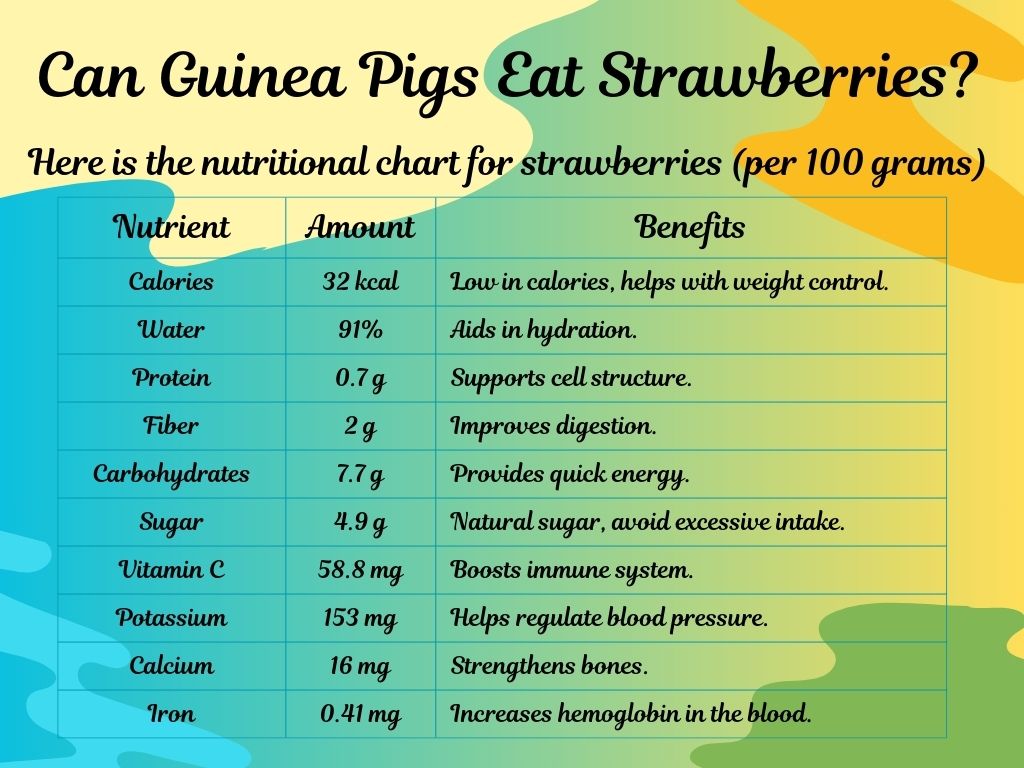 What Are The Benefits Of Strawberries For Guinea Pigs?