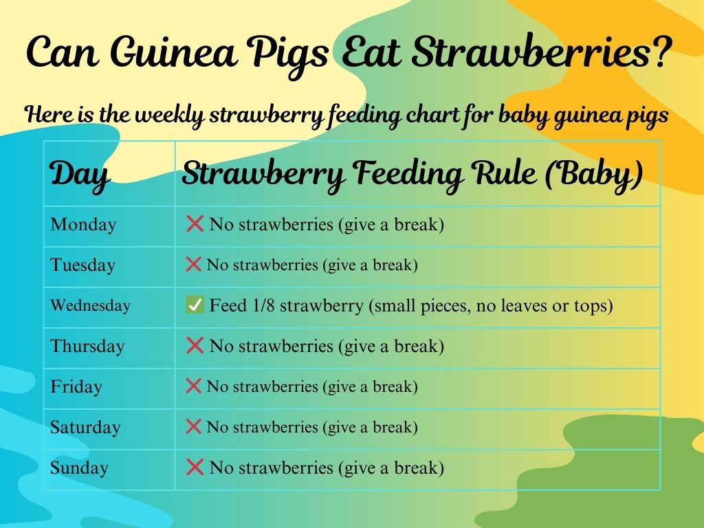  Strawberries Feeding rule for baby