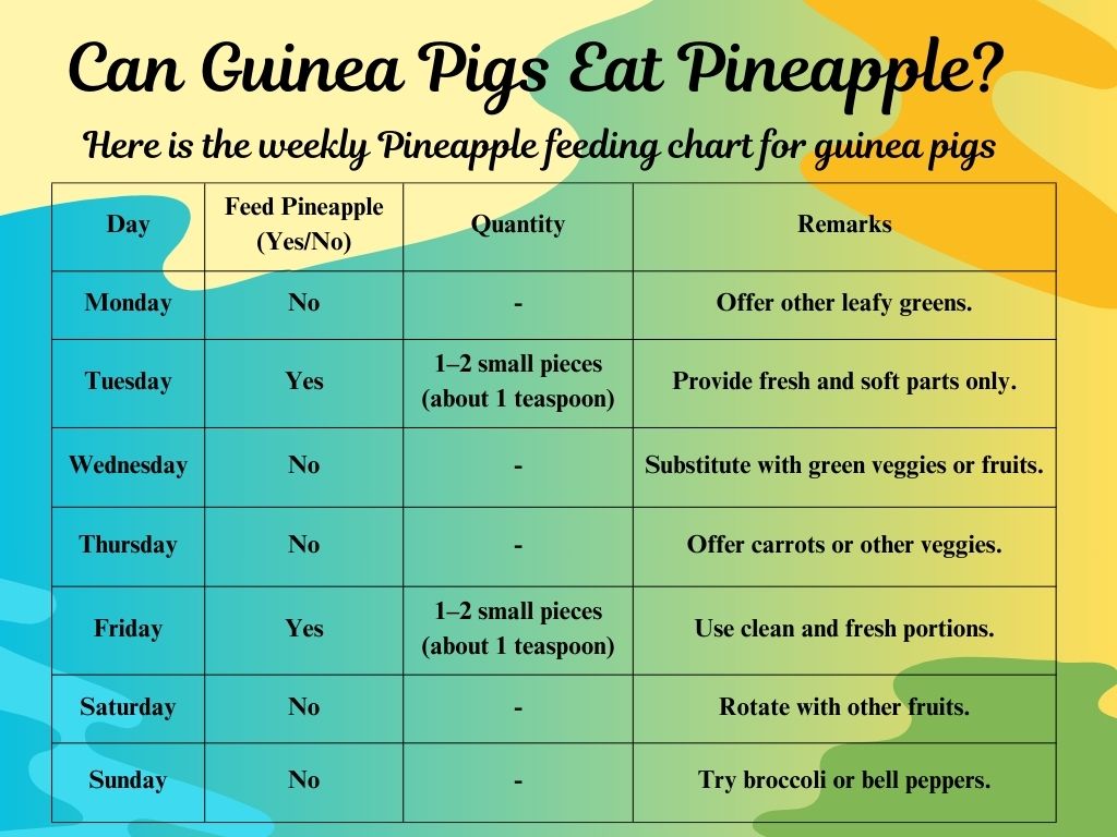 How many days a week Can Guinea Pigs Eat Pineapple?