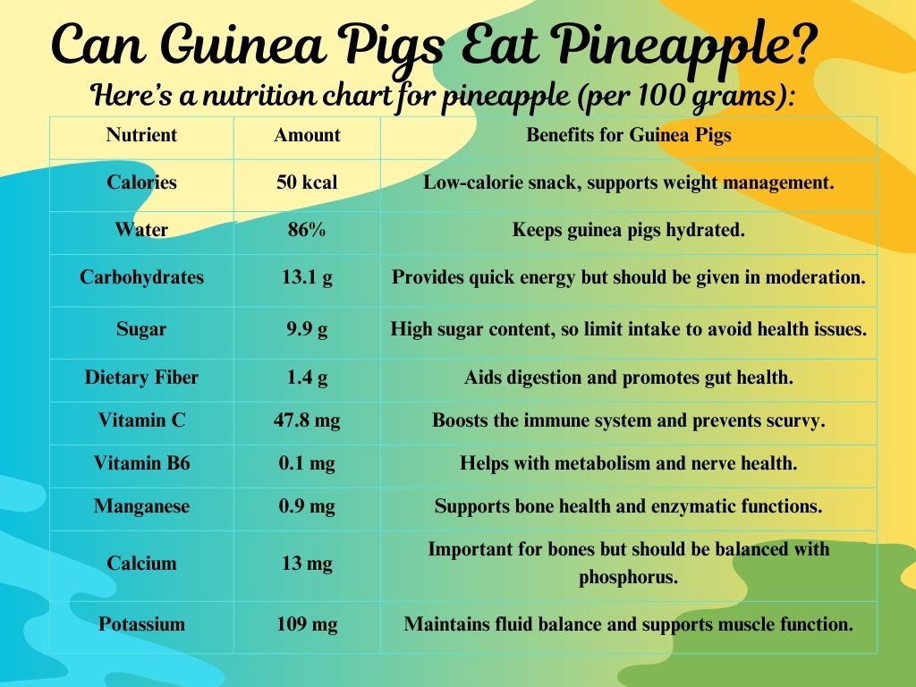 Can Guinea Pigs Eat Pineapple?