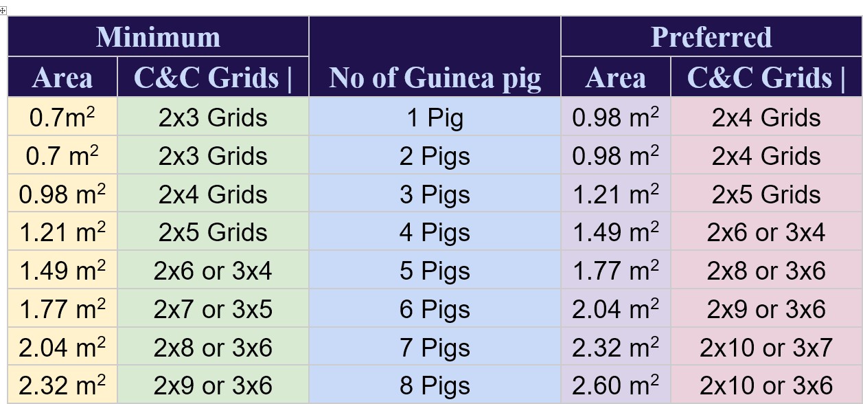 Guinea Pig Cage Size