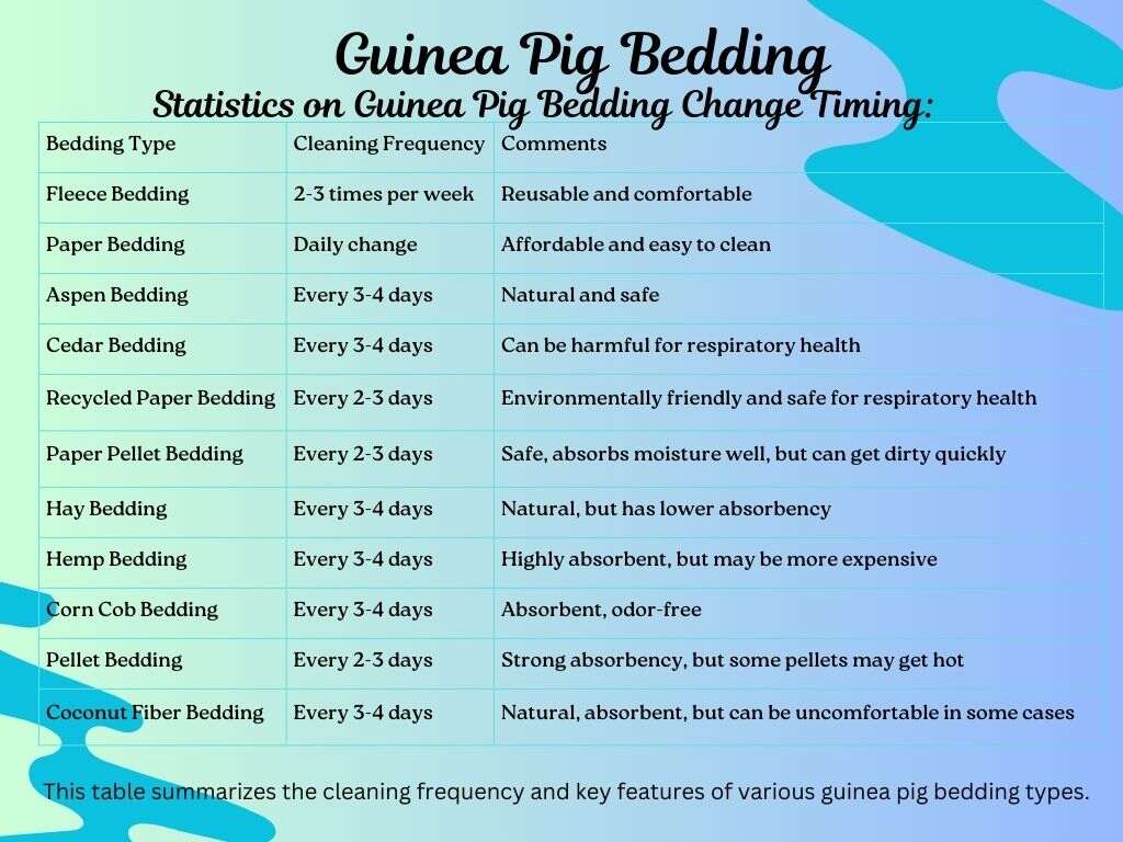 Guinea pig beddig change timing