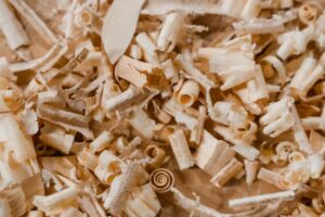 Wood shavings bed for guinea pigs